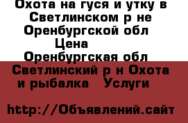 Охота на гуся и утку в Светлинском р-не Оренбургской обл › Цена ­ 650 - Оренбургская обл., Светлинский р-н Охота и рыбалка » Услуги   